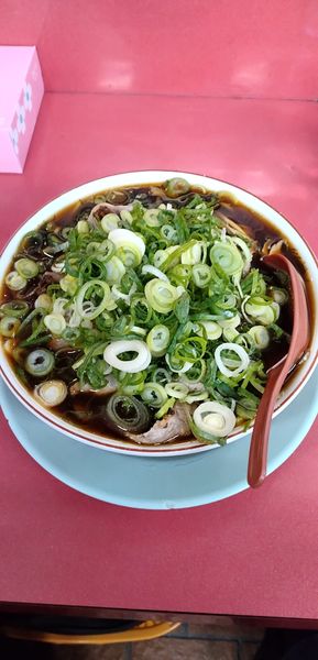 「肉多目(ネギ多め)」@新福菜館 本店の写真