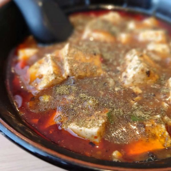 「【限定】麻婆豆腐の和え麺 800円」@丸仙食堂の写真