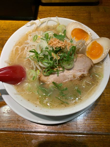 「極塩ラーメン（８００円）」@やどがり家の写真