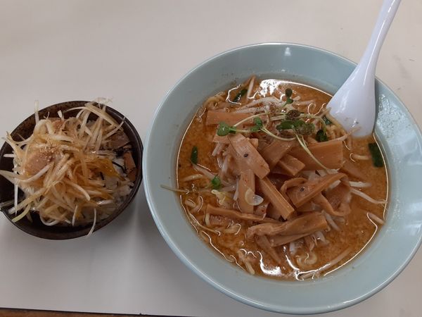「みそメンマ」@くるまやラーメン 松本渚店の写真