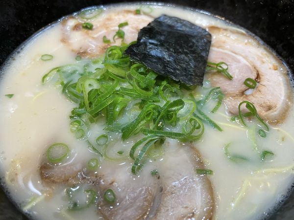 「とんこつラーメン 600円」@博多ラーメン 幸一の写真