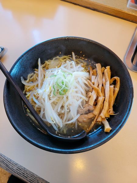 「塩ラーメン + メンマ」@らーめん うそだっぺーの写真