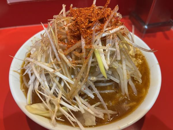 「辛いらーめん、ミニ、固め、味ネギ」@麺屋 桐龍の写真