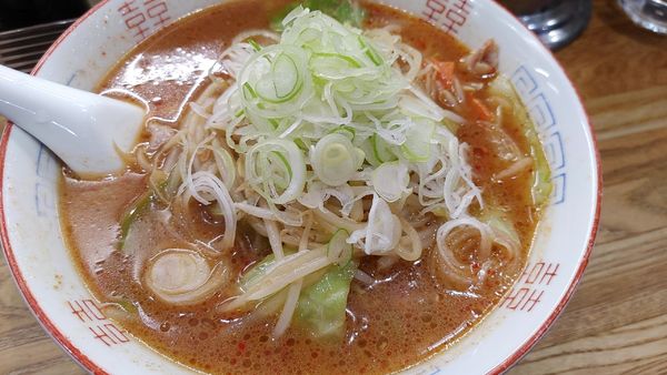「中辛味噌ラーメン」@ラーメン藤の写真