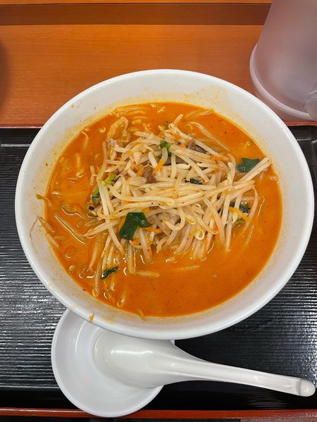 「秘伝の辛味噌ラーメン(620円)」@日高屋 石川町店の写真