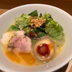 こだわり麺の鶏白湯塩そば