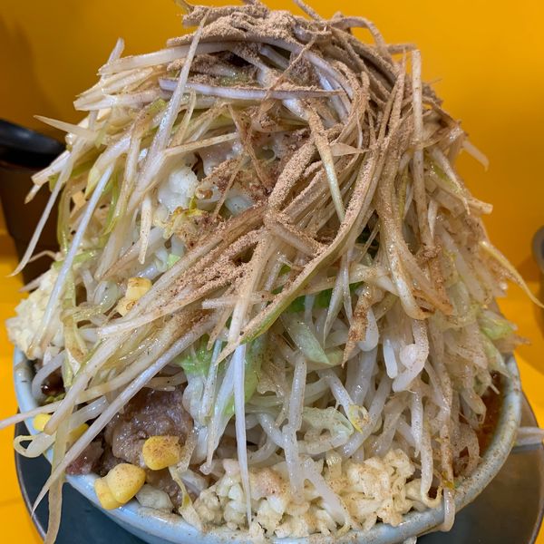 「プチ二郎 辛い奴2倍 ニンニクマシマシアブラマシマシ」@ラーメン二郎 八王子野猿街道店2の写真