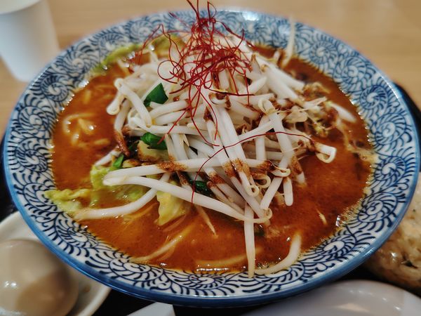 「濃厚モツ煮込みラーメン１１００円辛味噌」@麺屋 はなとの写真