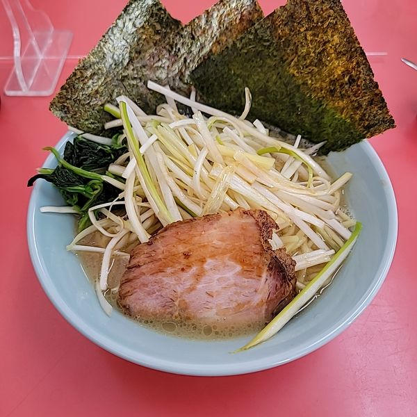 「ネギラーメン並 麺硬め 味普通 油少なめ」@ラーメン ひなた屋の写真