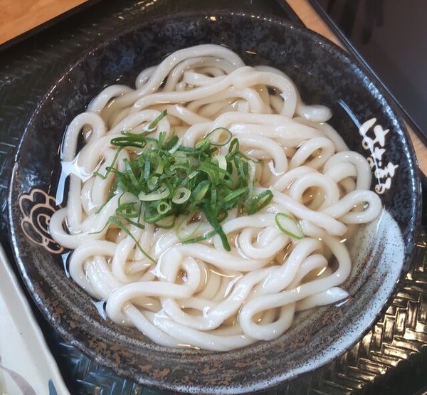 「かけうどん中400円」@はなまるうどん 山形桧町店の写真