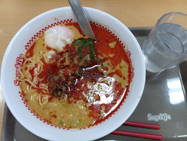 「担々麺550円、温泉、玉子50円」@スガキヤ 港ベイシア店の写真