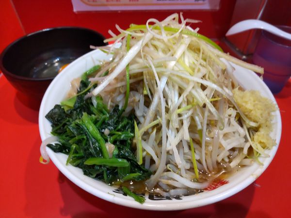 「らーめん小＋味ネギ、ほうれん草、生玉子＋ショウガ」@麺屋 桐龍の写真