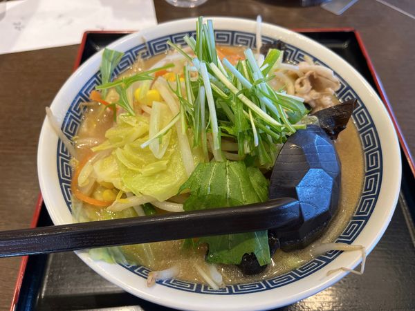 「野菜たっぷり味噌ラーメン」@山田うどん食堂 武蔵藤沢店の写真