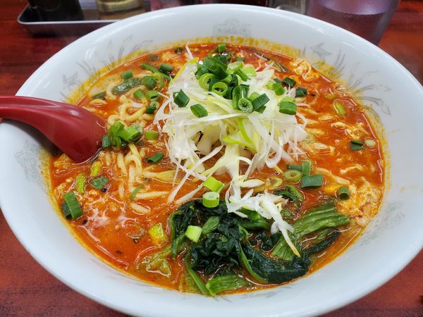 「ドラたんたんめん800円辛さドラゴン級+二点盛180円」@らーめん ドラごんちの写真