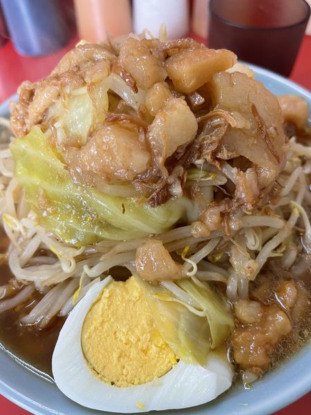 「ラーメン少なめ　あぶら　ちょいやさい」@ラーメン富士丸 東浦和店の写真