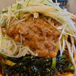 【限定】柑橘系　ネギ　ニラ　全マシ