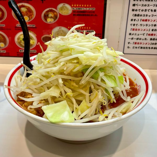 「濃厚巨豚北極/麺大盛り/野菜大盛り×2」@蒙古タンメン 中本 柏店の写真