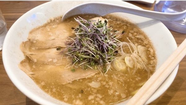 「熟成味噌ディフェンシンラーメン」@節屋かつらの写真