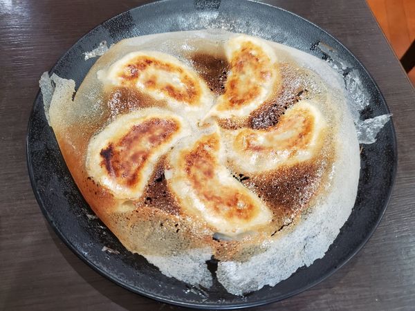 「手作り羽根つき餃子」@カプセル＆サウナ 川崎ビッグの写真