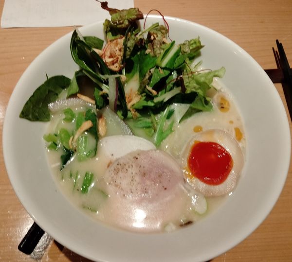 「こだわり麺の鶏白湯塩そば」@船橋 蔭虎の写真