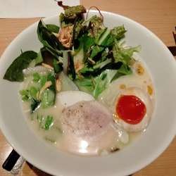 こだわり麺の鶏白湯塩そば