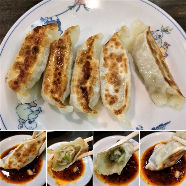 「餃子(5個)　600円」@福来軒の写真