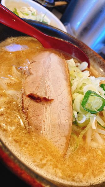 「味噌ラーメン」@高なべの写真