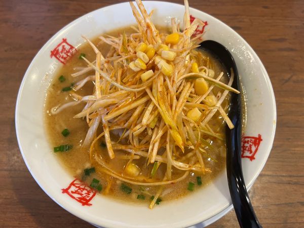 「辛ネギみそ」@おおぎやラーメン 伊那店の写真