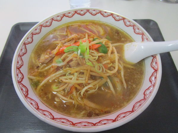 「スタミナ麺 700円」@王ちゃんラーメンの写真
