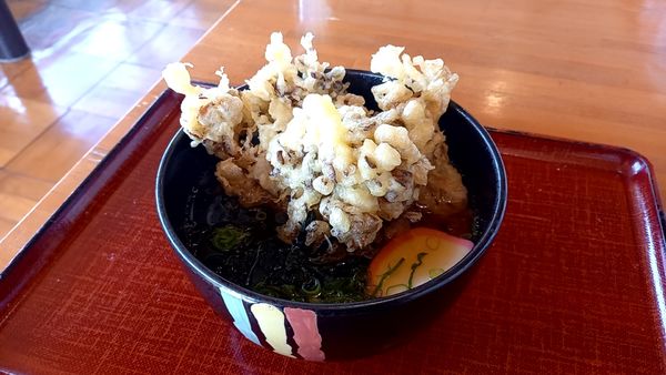 「舞茸天ぷらうどん」@レストハウス やまなみの写真