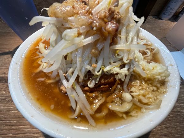 「ミニラーメン／250g・豚一枚（800円）」@麺屋 浜一の写真