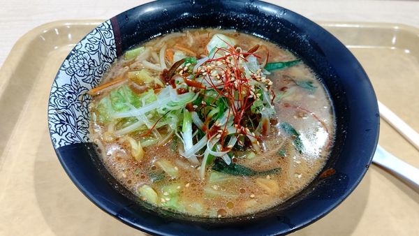 「八丁味噌野菜らぁめん」@開花屋 楽麺荘の写真