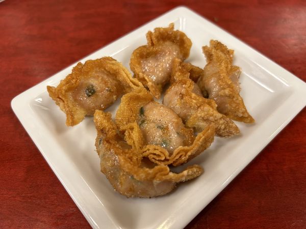 「揚げギョーザ（6個）500円」@和田党 広島駅前の写真