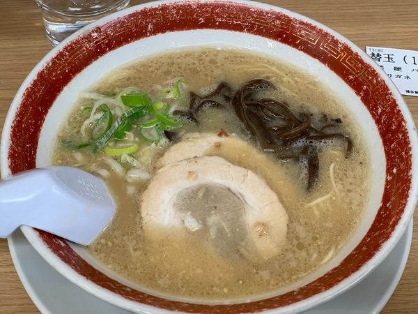 「白（バリ）」@博多らーめん 無双 大船店の写真