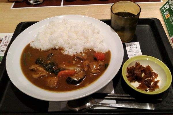 「彩り野菜＆ごろごろチキンカレー大盛2辛(790円)」@マイカリー食堂 千葉店の写真