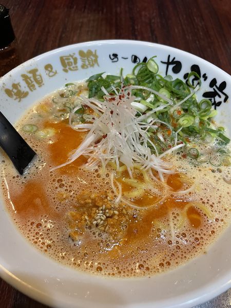 「赤鶏こつ麺」@三代目 やぶ家の写真