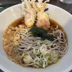 かけそば＋本日の天ぷら＋ミニかきあげ丼