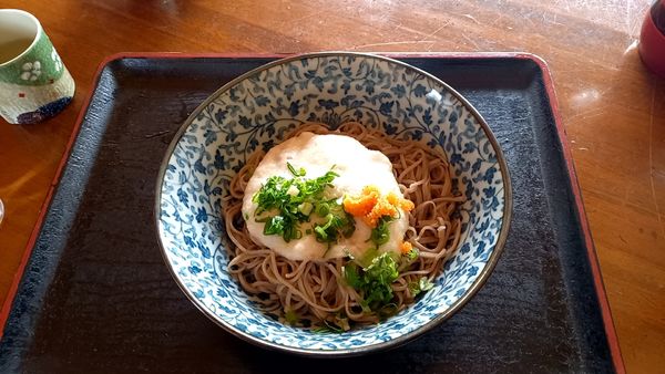 「やまかけそば」@手打ちめん処 やましろの写真