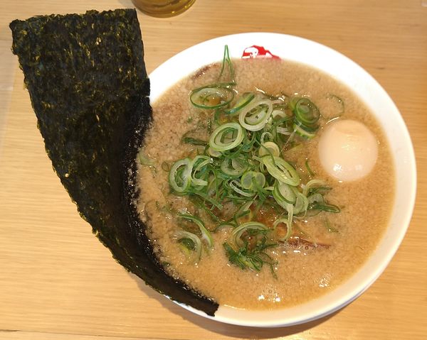 「ますたにスペシャル【土日祝限定】＋焼餃子」@京都銀閣寺 ますたにラーメン 日本橋本店の写真