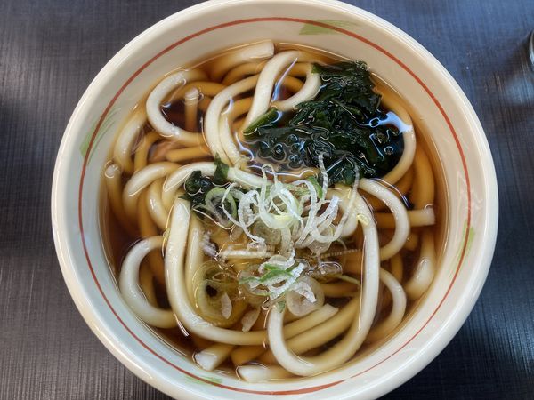 「かけうどん370」@狭山そば 清瀬駅前店の写真