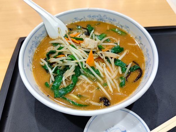 「みそラーメン(1玉)550円」@ぎょうざの満洲 イーサイト高崎店の写真