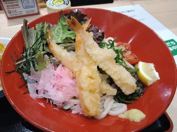 「海老天山菜彩りスペシャル」@得得うどん 伏見竹田店の写真