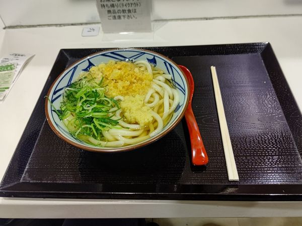 「かけうどん(並盛)390円」@丸亀製麺 イーサイト高崎店の写真