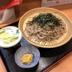 ざるそば・大盛(510円)+おろし生姜(60円)