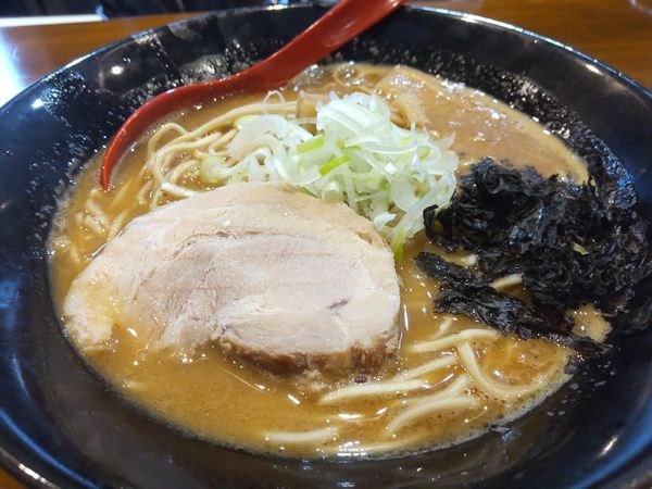 「濃厚煮干しラーメン(中盛り)、特別価格600円」@MAEBASHI NOODLE KEYAKIの写真
