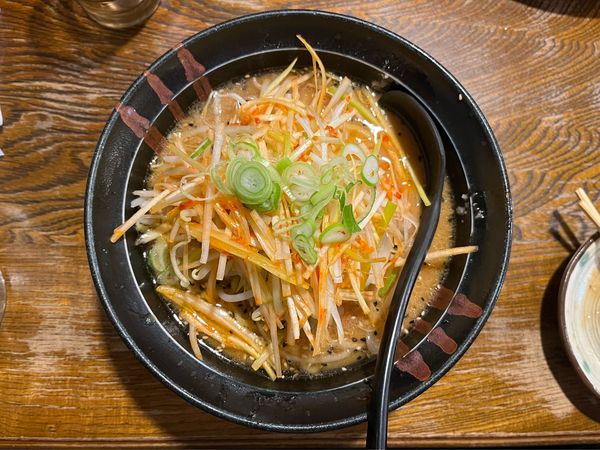「ネギみそラーメン」@らーめん いやどうもの写真