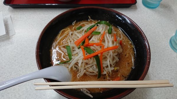 「味噌ラーメン600円」@らーめん まるともの写真