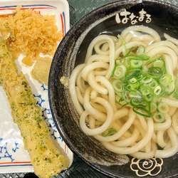 はなまるうどん ビビット南船橋店の画像