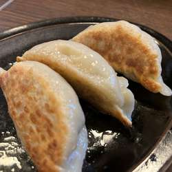 餃子ハーフ