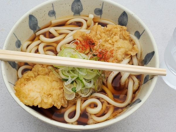 「いか天うどん」@川村屋の写真